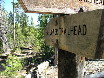 trail, sign, pointer, directions, choice, marker, trailhead, text, western script, tree, communication, plant, information, wood - material, day, no people, information sign, nature, capital letter, forest, script, outdoors, trunk, sunlight, tree trunk, non-western script, 2K, CC0, public domain, royalty free