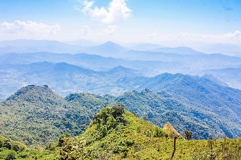 scenic, view, mountains, background, clouds, daylight, environment, extreme, fog, foggy, forest, grass, hazy, high, hill, idyllic, landscape, mist, misty, morning, murky, natural, nature, scenery, sight, sky, thailand, tourism, tranquil, travel, trees, valley, woods, scenics - nature, beauty in nature, mountain, tranquil scene, tranquility, tree, plant, non-urban scene, mountain range, no people, green color, cloud - sky, land, day, remote, outdoors, mountain peak, mountain ridge, 2K, CC0, public domain, royalty free