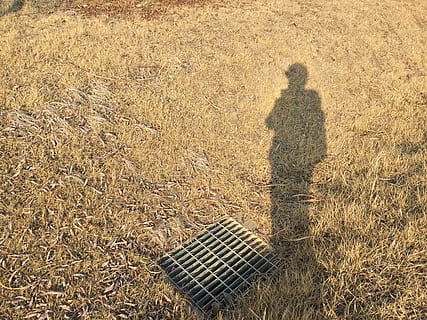 Schatten, Park, Leben, Sonnenlicht, Natur, Feld, High Angle View, Tag, echte Menschen, eine Person, Land, Stehen, Fokus auf Schatten, Männer, Pflanze, draußen, Gras, Freizeitbeschäftigung, Lebensstile, in voller Länge, nicht erkennbare Person, 2K, CC0, gemeinfrei, lizenzfrei
