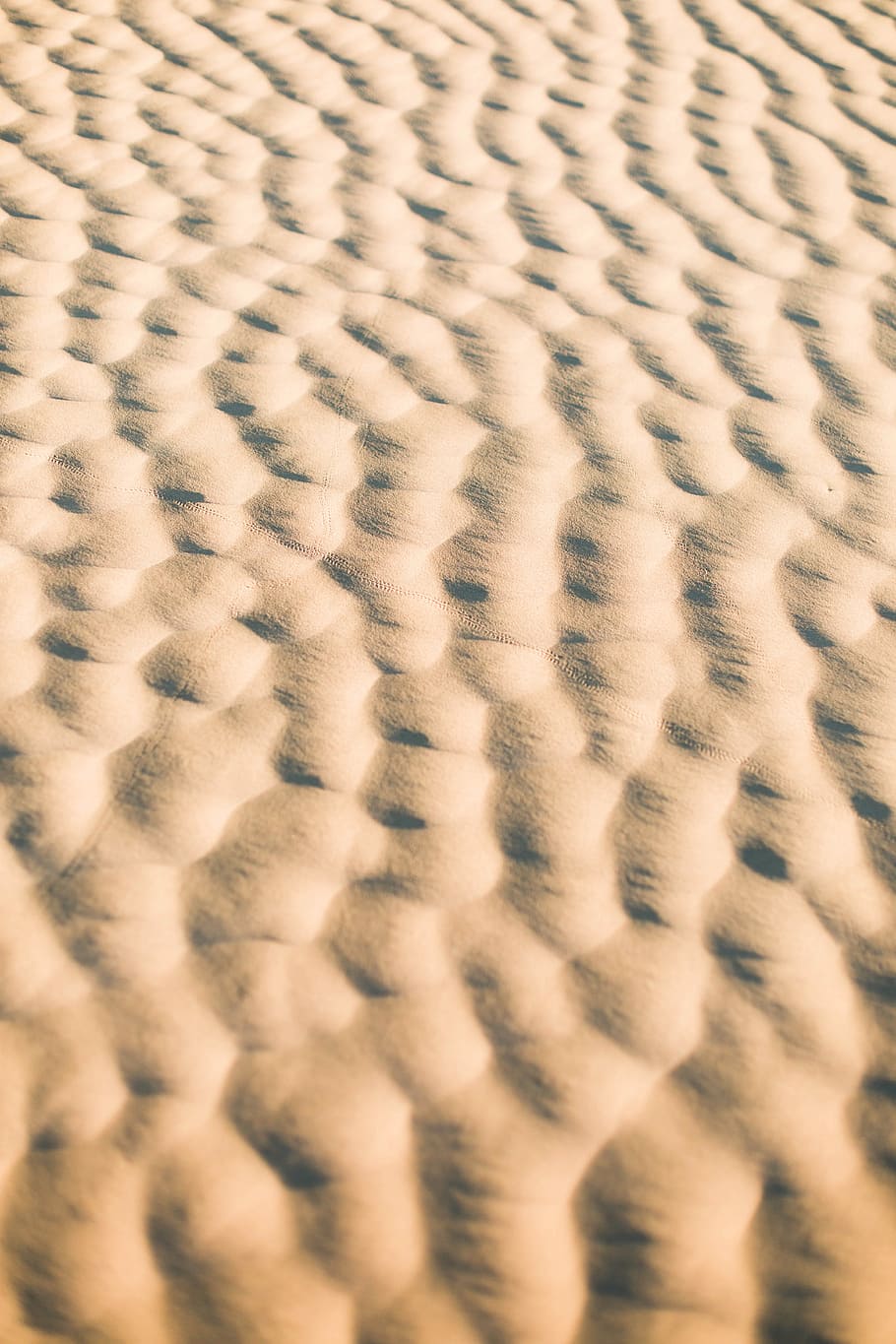 braunes Textil, Sand, Textur, Vertiefung, Oberfläche, texturiert, Wüste, bräunen, Muster, Licht, abstrakt, Hintergründe, Vollbild, keine Leute, Nahansicht, Textil-, Tier, Tierthemen, natürliches Muster, Tierwelt, wolle, selektiver Fokus, Tierhaut, Weichheit, gestalten, Pelz, Design, warme Kleidung, extreme Nahaufnahme, 5K