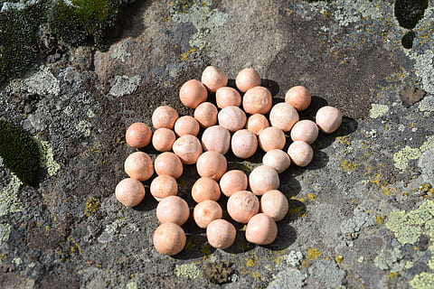 rocce, palle, marmi, vista dall'alto, giorno, natura, cibo, nessuno, all'aperto, Marrone, freschezza, solido, avvicinamento, roccia, benessere, direttamente sopra, cibo e bevande, uovo, mangiare sano, grande gruppo di oggetti, roccia - oggetto, terra, crescita, 4K, CC0, dominio pubblico, privo di copyright