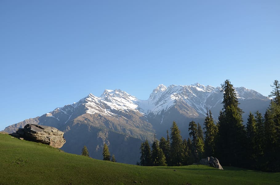 hvid, grøn, bjerg, grå, klippe, træer, fyrretræer, fod, snow cap mountain, over, græsfelt, dagtimerne, træ, Mark, alp, natur, landskab, scenics, udendørs, europæiske alper, himmel, bjergkæde, grøn farve, landskaber, blå, ingen mennesker, sommer, skønhed i naturen, græs, skyfri himmel, scenics - natur, sne, rolig scene, ro, vinter, plante, kold temperatur, snedækket bjerg, miljø, ikke-urbane scene, bjergtop, 4K