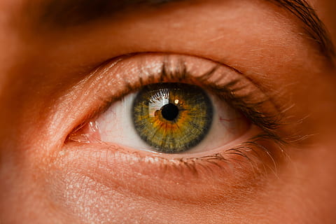 person, green, black, eyes, close, photo, eye, iris, sight, eyebrows, algae, macro, detailed, natural, girl, human, view, green iris, face, blur, doll, young, blue, expressive, brown, vision, human eye, human body part, eyesight, body part, eyelash, young adult, close-up, adult, one person, sensory perception, iris - eye, human face, portrait, eyebrow, studio shot, extreme close-up, looking, eyeball, beautiful woman, contemplation, 5K, CC0, public domain, royalty free