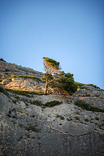 solnedgång, provence, tall, träd, rock-objekt, utomhus, natur, dag, inget folk, klar himmel, himmel, lugn plats, lugn, växt, skönhet i naturen, sten, scenics - natur, kopiera utrymme, fast, icke-urbana scenen, blå, lågvinkelvy, sten formation, tillväxt, bildning, torrt klimat, eroderade, 5K, CC0, offentligt domän, royaltyfria