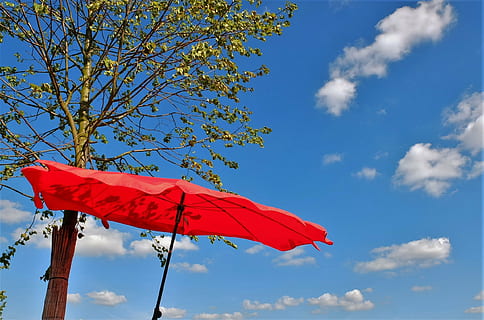 schermo, estate, parasole, ombrello, tempo metereologico, cielo, pioggia, all'aperto, blu, natura, protezione, rosso, nuvola - cielo, albero, Inquadratura dal basso, nessuno, giorno, pianta, ramo, autunno, foglia, ambiente, foglia di acero, sicurezza, luce del sole, crescita, vento, 1080P, CC0, dominio pubblico, privo di copyright