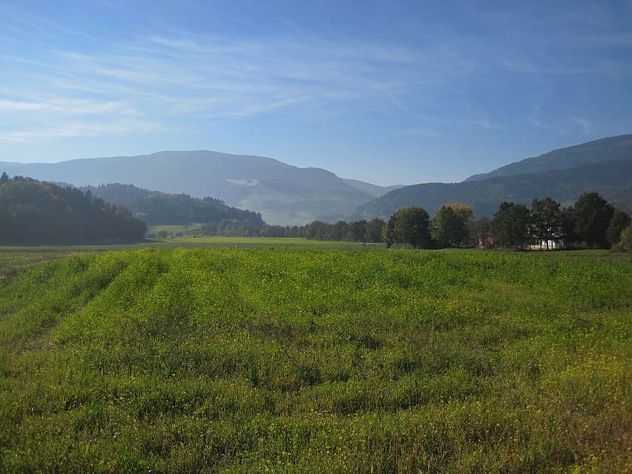 Alemania, paisaje, cielo, nubes, montañas, Valle, barranco, escénico, bosque, arboles, naturaleza, fuera de, verano, primavera, planta, paisajes - naturaleza, ambiente, montaña, escena tranquila, tranquilidad, belleza en la naturaleza, hierba, tierra, campo, color verde, árbol, crecimiento, nadie, cordillera, escena no urbana, día, al aire libre, plantación, 720P