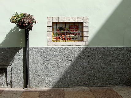 vindue, gammel, gammelt vindue, facade, historisk, forvitret, træ, glas, slå op, bygning, trævinduer, gammel by, vinduesrammer, murede op, murbygningsfunktion, plante, arkitektur, bygget struktur, blomst, blomstrende plante, bygning udvendig, dag, natur, ingen mennesker, sollys, udendørs, skygge, væg, friskhed, solrig, dekoration, vækst, blomsterkrukke, blomster arrangement, 4K, CC0, offentligt domæne, royaltyfrie
