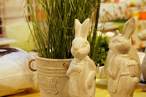 dekoration, deco, påske, Påske hare, dekorative, figur, hare, terrakotta, lyd, Kunst og håndværk, skulptur, statue, repræsentation, kreativitet, menneskelig repræsentation, ingen mennesker, fokus på forgrunden, håndværk, tæt på, plante, dag, mandlig lighed, natur, udendørs, vækst, potteplante, stilleben, spiritualitet, 4K, CC0, offentligt domæne, royaltyfrie