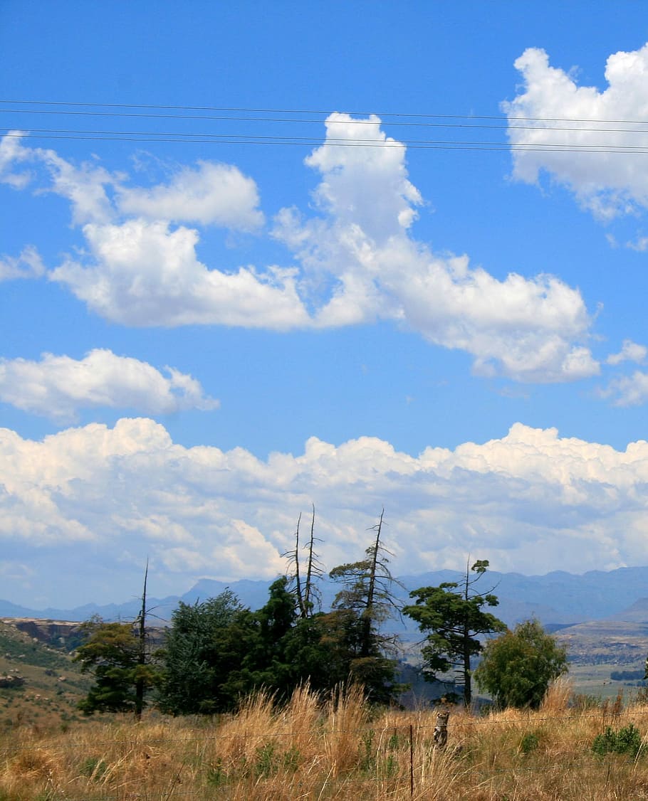 cel blau, núvols, veld, herba, arbres, cel, blau, herba, arbres, veld i cel, núvol - cel, piló d’electricitat, dia, cap gent, electricitat, cable, planta, bellesa a la natura, línia elèctrica, escenics - natura, escena tranquil·la, tecnologia, terra, paisatge, Font d'alimentació, tranquil·litat, naturalesa, camp, connexió, a l'aire lliure, línia telefònica, 2K