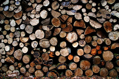trunks, patroon, flora, natuur, hout, grote groep objecten, stack, logboek, brandhout, hout - materiaal, houtindustrie, volledig kader, overvloed, Bos, boom, achtergronden, ontbossing, brandstapel, hoop, geen mensen, brandstof en stroomopwekking, milieu problemen, buitenshuis, 2K, CC0, publiek domein, royaltyvrij