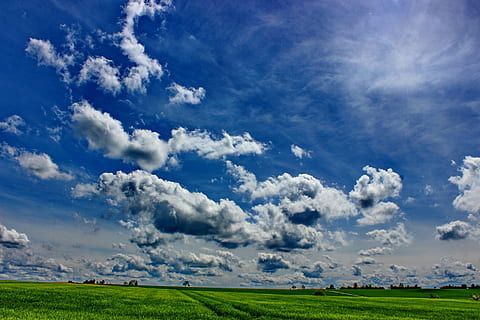 clouds, green, grass field, green grass, landscape, nice weather, nature, sky, cloud - sky, scenics, blue, beauty in nature, scenics - nature, environment, tranquil scene, tranquility, no people, land, field, day, horizon, grass, plant, horizon over land, green color, idyllic, outdoors, 5K, CC0, public domain, royalty free