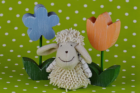 Schaf, Blumen, Frühling, Ostern, verziert, Zahl, Süss, Dekoration, schäfchen, Tier, Feier, Kulturen, Tradition, Feier Veranstaltung, keine Leute, Darstellung, Spielzeug, Plüschtier, drinnen, Stillleben, Muster, grüne Farbe, Nahansicht, Kreativität, menschliche Darstellung, direkt darüber, Studioaufnahme, Kunst und Handwerk, farbiger Hintergrund, Teddybär, Tupfen, 5K, CC0, gemeinfrei, lizenzfrei