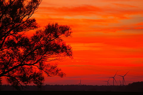 zachód słońca, wieczór, chmury, niebo, sylwetka, krajobraz, zmierzch, słońce, drzewo, Wieczorne niebo, poświata, Niemcy, abendstimmung, Meklemburgia Pomorze Przednie, Natura, reszta, nastrój, jesień, atmosfera, cichy, romantyk, mistyczny, atmosferyczny, pogoda, wieczorne słońce, medytacja, kolor pomarańczowy, środowisko, piękno natury, scenics - natura, spokojna scena, roślina, chmura - niebo, energia odnawialna, wytwarzanie paliwa i energii, turbina wiatrowa, spokój, turbina, alternatywna energia, moc wiatru, żadnych ludzi, na dworze, Elektryczność, romantyczne niebo, 2K, CC0, domena publiczna, darmowe zdjęcia