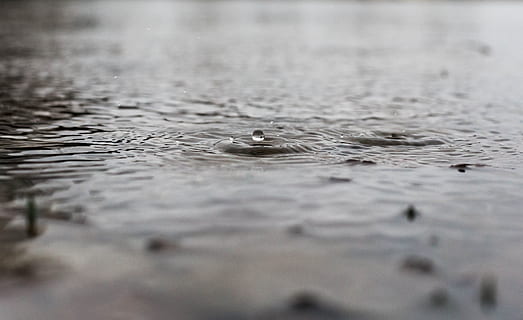 selective, focus photo, water droplet, focus photography, water drop, selective focus, photography, nature, water, backgrounds, wet, reflection, abstract, drop, water Surface, liquid, ripple, lake, outdoors, no people, waterfront, day, rippled, motion, splashing, surface, close-up, sea, tranquility, full frame, animal, surface level, concentric, purity, 4K, CC0, public domain, royalty free