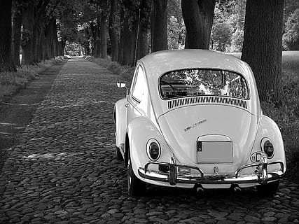 grayscale, photography, volkswagen, beetle, coupe, parked, trees, vw, oldtimer, classic, cobblestones, old, herbie, vw beetle, auto, vehicle, automotive, car, retro Styled, land Vehicle, transportation, old-fashioned, chrome, street, grille, mode of Transport, sports Car, mode of transportation, tree, motor vehicle, stationary, day, plant, trunk, tree trunk, outdoors, no people, city, headlight, nature, vintage car, 4K, CC0, public domain, royalty free
