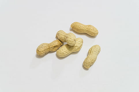 peanøtter, aperitif, nøtter, hvit bakgrunn, studio skudd, innendørs, mat og Drikke, mat, ingen folk, stilleben, velvære, spise sunt, skjære ut, nærbilde, hjerteform, høy vinkel visning, medisin, stor gruppe gjenstander, friskhet, kopiere plass, gruppe av objekter, matbit, nøtter - mat, naturlig tilstand, 4K, CC0, offentlig domene, opphavsrett gratis