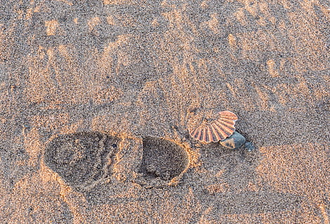 urme de pasi, cale, Walker, plajă, nisip, Costa, pelerin, coajă, vieira, picior, vară, pace, teren, nici o persoana, zi, natură, vedere în unghi mare, în aer liber, lumina soarelui, animal, liniște, maro, solid, stâncă, a închide, animale tematice, texturată, creativitate, apă, frumusețe în natură, 2K, CC0, domeniu public, fără drepturi de autor