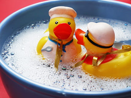 two, yellow, duckling plastic toys, bowl, bath, splashing, ducks, joy, friends, happy, funny, white, light blue, red, toys, plastic, animals, water, foam, paddling pool, swimming pool, entertainment, swim, together, bad, tell, conspiracy, secret, quietscheenten, rubber ducks, bath ducks, cute, sweet, fun bathing, figure, whisper, cooking, cook, construction workers, welder, gangster, crook, squeak duck, profession, rubber duckies, close-up, indoors, food, no people, fruit, food and drink, tomato, drop, motion, representation, toy, bell pepper, domestic room, healthy eating, selective focus, 4K, CC0, public domain, royalty free