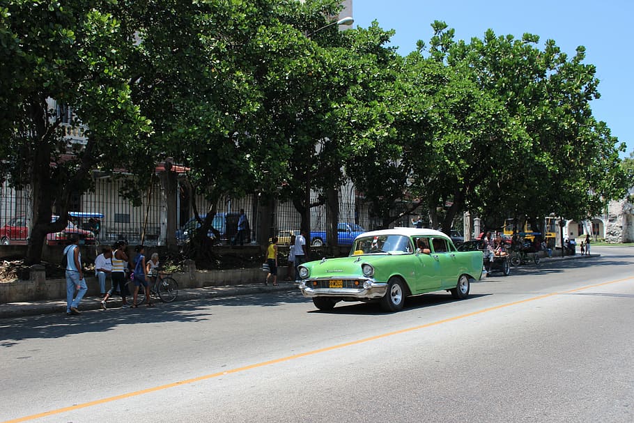 Cuba, Oldtimer, vară, verde, havana, auto, clasic, vehicul, însoțitoare, retro, transport, copac, mijloc de transport, mașină, vehiculul terestru, stradă, plantă, vehicul cu motor, oraș, drum, grup de oameni, zi, oameni adevărați, bărbați, natură, Culoarea verde, oameni, viata de oras, oameni apropiați, creştere, în aer liber, 5K