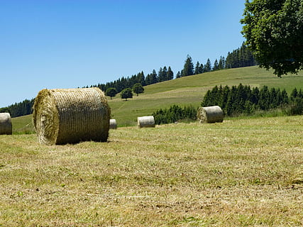 Enger, feber, vår, felt, jordbruk, strå, prærie, Tyskland, høy, bale, anlegg, land, gress, tre, landskap, rolig scene, landlige scene, natur, rullet opp, ro, gård, miljø, himmel, skjønnhet i naturen, høystakk, ingen folk, utendørs, 4K, CC0, offentlig domene, opphavsrett gratis