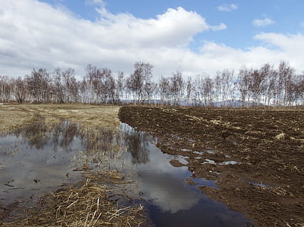 felter, forår, pløjning, eng, natur, landskab, træ, sne, smeltevand, vandpytter, vand, sky - himmel, himmel, ro, plante, rolig scene, scenics - natur, dag, skønhed i naturen, ingen mennesker, ikke-urbane scene, jord, miljø, Mark, afspejling, bare træ, udendørs, sump, 1080P, CC0, offentligt domæne, royaltyfrie