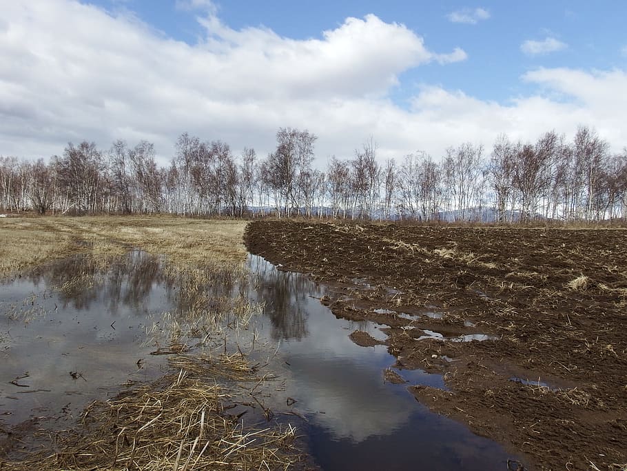 felter, forår, pløjning, eng, natur, landskab, træ, sne, smeltevand, vandpytter, vand, sky - himmel, himmel, ro, plante, rolig scene, scenics - natur, dag, skønhed i naturen, ingen mennesker, ikke-urbane scene, jord, miljø, Mark, afspejling, bare træ, udendørs, sump, 1080P