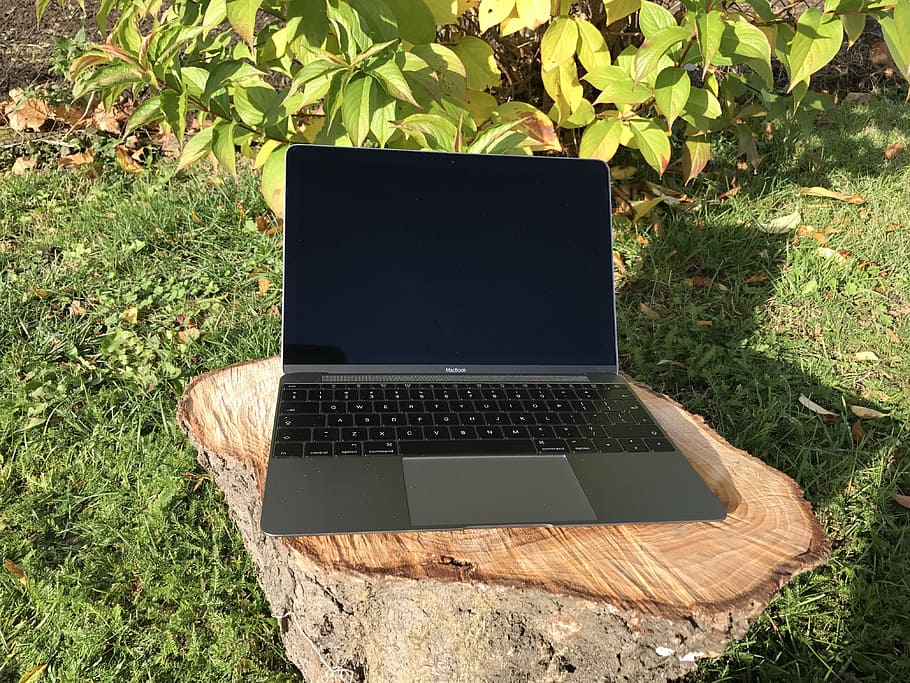 computer, æble, plads, grå, løv, rumgrå, træ, bagagerum, græs, tastatur, skærm, bærbar, teknologi, udendørs, natur, internet, pc, trådløs teknologi, grøn farve, mobilitet, meddelelse, ingen mennesker, arbejder, sommer, forretning, computer tastatur, plante, vækst, dag, forbindelse, høj vinkel visning, sollys, bærbar informationsenhed, blad, plante del, træ - materiale, blank, 4K