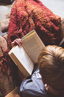 homme, bleu, livre de lecture de chemise, couverture, livre, garçon, apprentissage, mâle, la personne, en train de lire, publication, une personne, Vrais gens, activité, à l'intérieur, femmes, modes de vie, papier, vue grand angle, en portant, vue arrière, Activité de loisir, séance, Vêtements décontractés, éducation, adulte, cheveux, coiffure, 1080P, CC0, domaine public, libre de droits