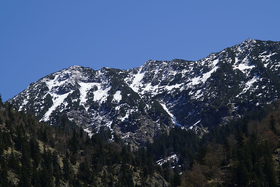 muntanya, primavera, alpí, naturalesa, nevar, paisatge, neu, escenics - natura, temperatura de fred, bellesa a la natura, hivern, arbre, cel, muntanya nevada, Serra, planta, medi ambient, escena tranquil·la, tranquil·litat, cel clar, terra, escena no urbana, bosc, pi, cap gent, arbre de coníferes, a l'aire lliure, bosc de pi, cim de muntanya, 5K