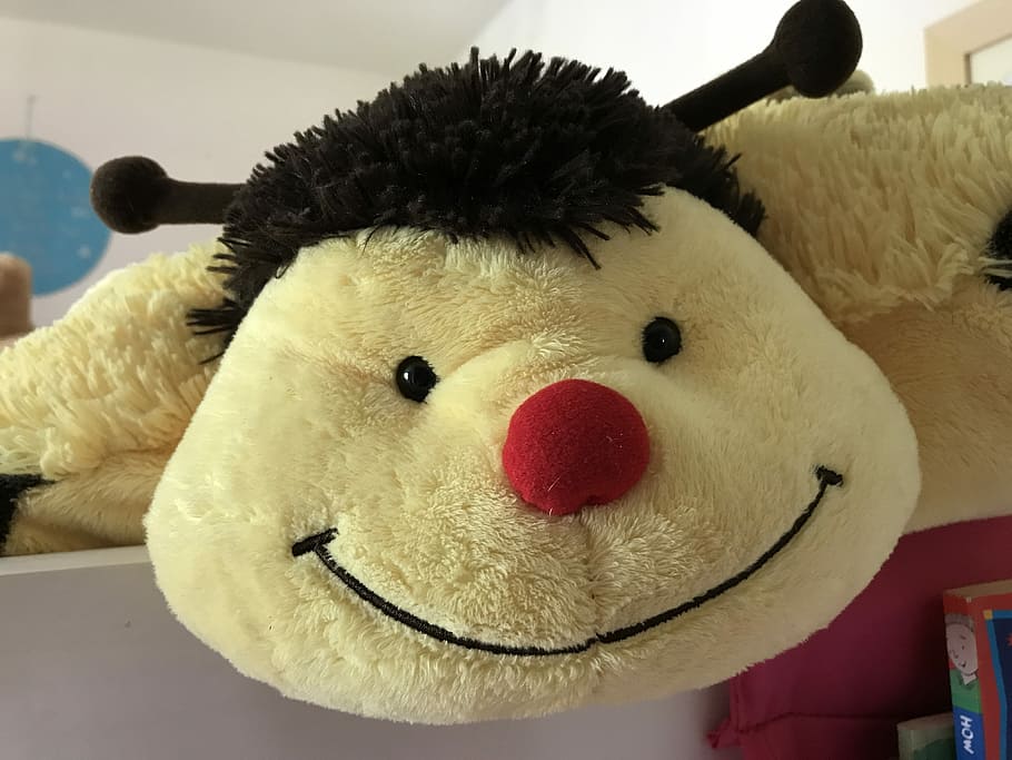 bumble bee, feliç, diversió, somrient, felicitat, joia, alegre, família, bonic, noi, somriu, joguina, osset de peluix, joguina de peluix, representació animal, infància, a l'interior, representació, primer pla, natura morta, art i artesania, creativitat, animal de joguina, suavitat, interior de casa, representació humana, artesania, centrar-se en primer pla, mamífer, 4K
