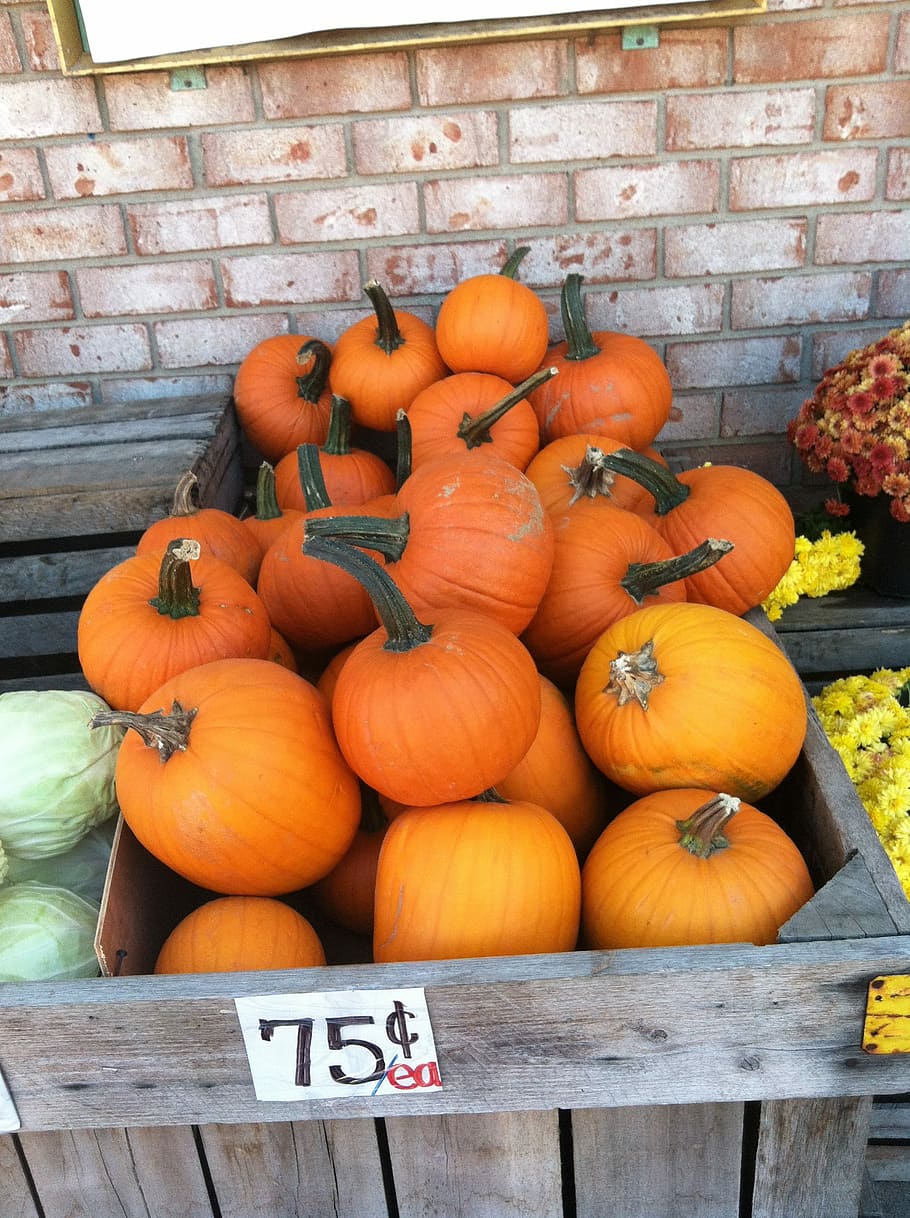 græskar, efterår, orange, halloween, mad, taksigelse, høst, fremstille, marked, grøntsag, oktober, Skærm, sæson, murstens væg, tekst, ingen mennesker, orange farve, mad og drikke, sund kost, friskhed, træ - materiale, vestlige script, stor gruppe af objekter, velvære, væg, mursten, dag, murbygningsfunktion, meddelelse, til salg, udendørs, 2K