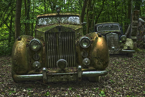 vinobraní, vozy, obklopen, stromy, auto, auto hřbitov, oldtimer, starý, rez, nerezový karre, nerez, zrezivělý, nostalgie, vrak, šrot, vrak auta, šrotu, vyřazeny, Dějiny, Paměť, přes, vypnutý, rozpad, zapomenout, stará auta, v důchodu, zastaralý, pkw, rohlíky royce stříbrný wraith, Rolls Royce, mercedes benz, mercedes, benz, vozidlo, ztracená místa, pforphoto, zlomený, nálada, ztracené místo, zanedbané, strom, způsob dopravy, rostlina, den, pozemního vozidla, rezavý, kov, přeprava, motorové vozidlo, Příroda, opuštěný, poškozen, run-down, nikdo, přistát, pokles, zhoršení, venku, 4K, CC0, veřejná doména, bez autorských práv