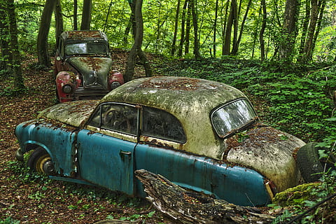 dos, naufragó, coches, rodeado, arboles, auto, cementerio de coches, viejo contador de tiempo, antiguo, moho, karre de acero inoxidable, inoxidable, oxidado, nostalgia, ruina, chatarra, accidente de coche, coche de chatarra, descartado, historia, memoria, terminado, apagado, decaer, olvidar, autos viejos, retirado, obsoleto, borgward hansa 1500, borgward, bmw 340, BMW, lugares perdidos, pforphoto, roto, estado animico, árbol, tierra, abandonado, dañado, modo de transporte, transporte, bosque, atropellar, Vehículo de motor, día, planta, disminución, coche, deterioro, metal, vehículo terrestre, naturaleza, al aire libre, arruinado, depósito de chatarra, 4K, CC0, dominio público, libre de derechos