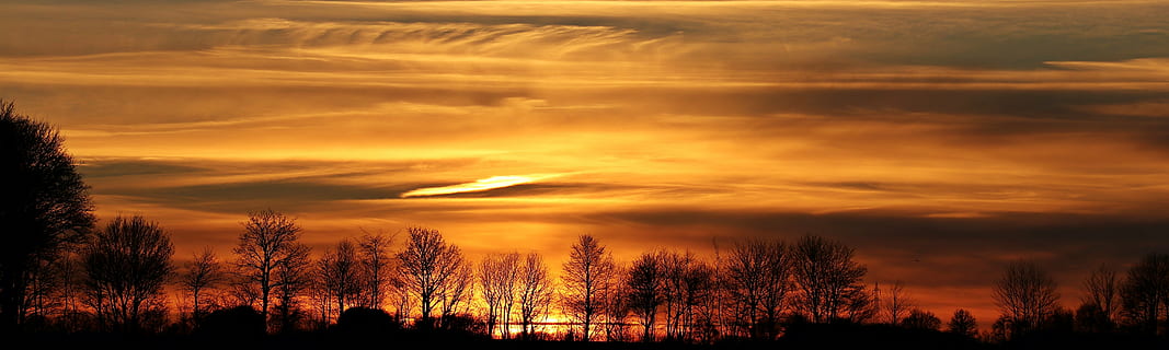 foto siluet pohon, matahari terbenam, matahari, langit malam, awan, abendstimmung, panorama, langit, Perasaan Senang, pohon, percintaan, suasana hati, sinar matahari, romantis, matahari musim dingin, musim dingin, jam malam, malam, senja, jauh, atmosfer, horison, suasana, pemandangan, alam, merah, masih, Jeruk, ketenangan, adegan yang tenang, keindahan di alam, tidak ada orang, bayangan hitam, di luar rumah, awan - langit, scenics - alam, langit yang dramatis, warna oranye, menanam, lingkungan Hidup, perasaan kagum, gelap, tanah, 5K