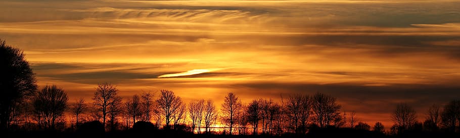 foto siluet pohon, matahari terbenam, matahari, langit malam, awan, abendstimmung, panorama, langit, Perasaan Senang, pohon, percintaan, suasana hati, sinar matahari, romantis, matahari musim dingin, musim dingin, jam malam, malam, senja, jauh, atmosfer, horison, suasana, pemandangan, alam, merah, masih, Jeruk, ketenangan, adegan yang tenang, keindahan di alam, tidak ada orang, bayangan hitam, di luar rumah, awan - langit, scenics - alam, langit yang dramatis, warna oranye, menanam, lingkungan Hidup, perasaan kagum, gelap, tanah, 5K