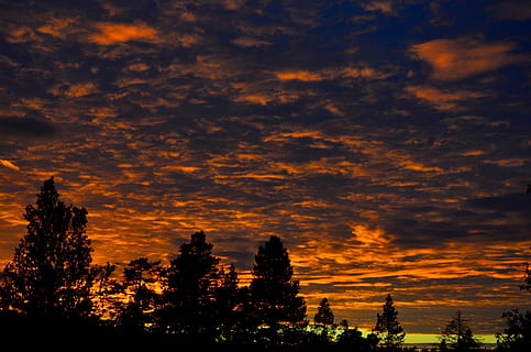 puesta de sol, Dom, bosque, arboles, la naturaleza de la, árbol, silueta, naturaleza, al aire libre, nadie, cielo, belleza en la naturaleza, nube - cielo, paisajes - naturaleza, tranquilidad, escena tranquila, planta, color naranja, idílico, cielo dramático, crecimiento, escena no urbana, vista de ángulo bajo, 1080P, CC0, dominio público, libre de derechos