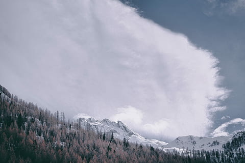 montagna coperta di neve, la neve, capped, montagna, nuvoloso, cielo, giorno, nube, foresta, albero, Lappago, Alto Adige, Innevato, inverno, paesaggio, temperatura fredda, scenics - natura, bellezza nella natura, nuvola - cielo, ambiente, natura, pianta, catena montuosa, Pino, scena tranquilla, montagna innevata, la tranquillità, nessuno, albero di conifere, bosco di pini, all'aperto, picco di montagna, 5K, CC0, dominio pubblico, privo di copyright