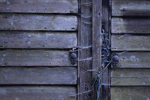 persiana, bloquear, madera rustica, podrido, antiguo, madera, puertas y ventanas, gris, marrón, ventana vieja, puerta vieja, moho, material de madera, nadie, antecedentes, modelo, día, fotograma completo, Entrada, puerta, de cerca, texturizado, estructura construida, arquitectura, erosionado, al aire libre, exterior del edificio, pared - característica de la construcción, la seguridad, cerrado, seguridad, deterioro, 5K, CC0, dominio público, libre de derechos