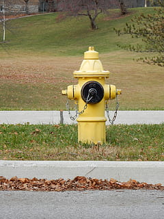 požární hydrant, žlutá, oheň, hydrant, voda, bezpečnost, zařízení, kov, ulice, listy, venku, den, exteriér budovy, nehody a katastrofy, stavba, nikdo, rostlina, Příroda, ochrana, přistát, bezpečnostní, architektura, tráva, strom, pole, 4K, CC0, veřejná doména, bez autorských práv