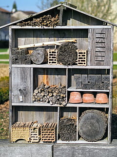 wood, material, pots, texture, tree trunk, bark, old, puzzle, form, day, no people, wood - material, large group of objects, food and drink, outdoors, food, freshness, close-up, nature, container, abundance, arrangement, stack, tree, architecture, log, timber, variation, firewood, order, choice, 4K, CC0, public domain, royalty free