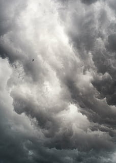 graue Wolken, Luft, Himmel, Wolke, Hintergrund, Wolken, hoch, Es liegt in der Luft, grau, schwarz, Natur, Landschaft, wunderschönen, Sturm, draussen, Weiß, abstrakt, Jahreszeit, Winter, Textur, Herbst, Regen, regnerisch, Hurrikan, dunkel, wolke - himmel, Flachwinkelansicht, Schönheit in der Natur, Szenen - Natur, bedeckt, Vogel, keine Leute, fliegend, Sturmwolke, Tag, Ruhe, Wolkengebilde, Tierthemen, Tier, Wirbeltier, draußen, bedrohlich, Meteorologie, 5K, CC0, gemeinfrei, lizenzfrei