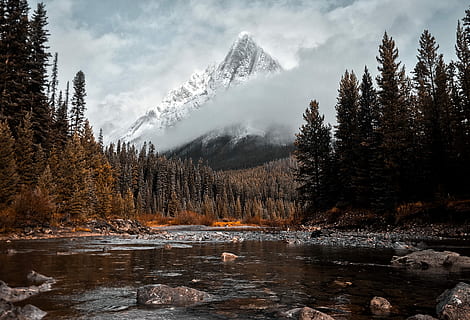 Fluss, umgeben, hoch, Bäume, Gebirgsalp, Entfernung, Nationalpark, banff, Berg, Baum, Kegel, Wald, Wasser, Pflanze, Natur, Schönheit in der Natur, Szenen - Natur, Herbst, wolke - himmel, See, Himmel, Land, Reflexion, ruhige Szene, Ruhe, keine Leute, Umgebung, draußen, Kiefer, Kiefernwald, Nadelbaum, schneebedeckter Berg, 2K, CC0, gemeinfrei, lizenzfrei