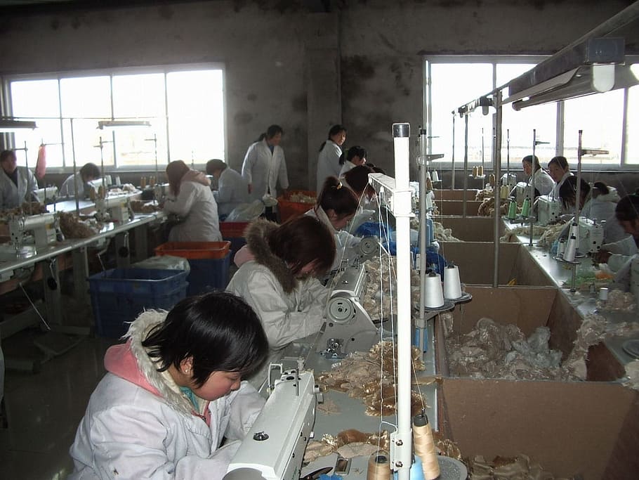 kloak i fabrikken, arbejder, fabrik, symaskine, mennesker, syning, maskine, industri, indendørs, medarbejder, voksen, gruppe af mennesker, rigtige mennesker, beskæftigelse, Kvinder, herrer, dag, gruppe, udstyr, stående, koncentration, vindue, uniform, 720P