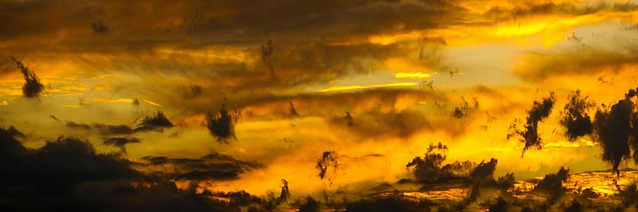 foto, tramonto, alberi, nuvole, natura, cielo, nuvoloso, illuminazione, abendstimmung, sfondo, struttura, umore, bandiera, volantini, panorama, mistico, immagine di sfondo, misticismo, nessuno, bellezza nella natura, la tranquillità, all'aperto, nuvola - cielo, colore arancione, cielo drammatico, scena tranquilla, scenics - natura, pianta, silhouette, panoramico, albero, soggezione, giallo, scena non urbana, potere in natura, 5K