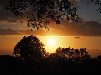 Sonnenuntergang, Passage, Sonne, Abend, romantisch, Romantik, Wolken, Gelb, hell, Sonnenlicht, Abendstunden, Bäume, Wald, Himmel, Baum, Schönheit in der Natur, Pflanze, Silhouette, Ruhe, Szenen - Natur, ruhige Szene, Wachstum, Natur, orange Farbe, keine Leute, wolke - himmel, idyllisch, Nicht-städtische Szene, Ast, draußen, 4K, CC0, gemeinfrei, lizenzfrei