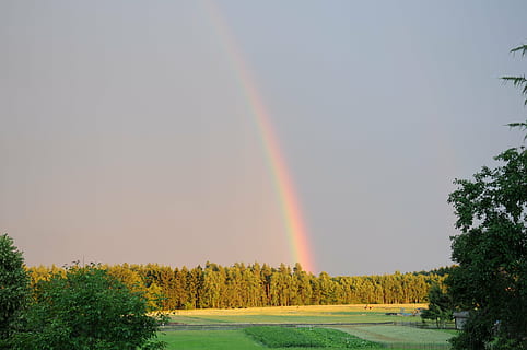 arcobaleno, foresta, cielo, temporale, albero, pianta, bellezza nella natura, scenics - natura, multicolore, natura, nessuno, scena tranquilla, la tranquillità, acqua, giorno, scena non urbana, idilliaco, crescita, ambiente, terra, doppio arcobaleno, 4K, CC0, dominio pubblico, privo di copyright