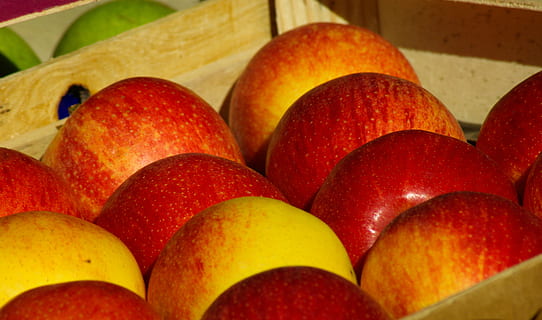 Obst, Äpfel, Obstbaum, fallen, Essen und Trinken, Lebensmittel, gesundes Essen, Wohlbefinden, Frische, rot, Nahansicht, keine Leute, Stillleben, Apfel - Frucht, große gruppe von gegenständen, Tag, Fülle, drinnen, Gruppe von Objekten, Anordnung, reif, Apfel, Container, 4K, CC0, gemeinfrei, lizenzfrei
