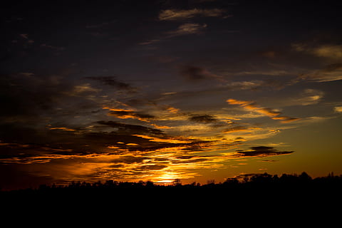 silhouette, alberi, d'oro, ora, tramonto, sera, ultimi bagliori, nuvole, cielo, cielo serale, notte, crepuscolo, abendstimmung, ombra, paesaggio, natura, arancia, rossastro, umore, atmosferico, cielo drammatico, Cloudscape, buio, nuvola - cielo, la tranquillità, Paesaggi, scenics - natura, bellezza nella natura, colore arancione, scena tranquilla, idilliaco, nessuno, ambiente, all'aperto, scena non urbana, giallo, 5K, CC0, dominio pubblico, privo di copyright