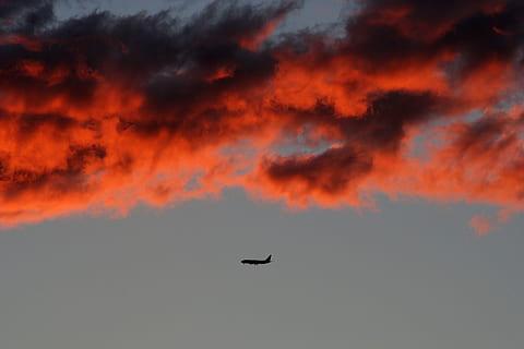 silhuet, luft, orange, himmel, flyplan, fly, sydney, Sky, flyvende, flyvningen, sky - himmel, cloudscape, transportmidler, solnedgang, natur, luftfartøj, kommerciel flyvemaskine, blå, fugl, dyreliv, dyre temaer, dyr i naturen, hvirveldyr, et dyr, dyr, ingen mennesker, dramatisk himmel, orange farve, skønhed i naturen, Midt i luften, dyr kropsdel, scenics - natur, udendørs, 2K, CC0, offentligt domæne, royaltyfrie
