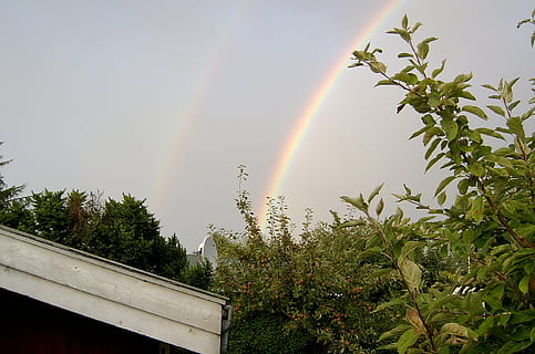pioggia, arcobaleno, nube, albero, pianta, bellezza nella natura, multicolore, natura, cielo, Inquadratura dal basso, giorno, doppio arcobaleno, idilliaco, scenics - natura, nessuno, crescita, all'aperto, luce del sole, la tranquillità, architettura, nuvola - cielo, 1080P, CC0, dominio pubblico, privo di copyright